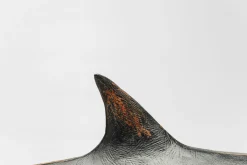 KARE Deko Figur Shark Base 59cm