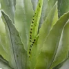 KARE Deko Pflanze Agave 40cm