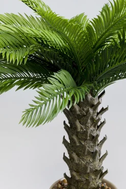 KARE Deko Pflanze Cycas 70cm