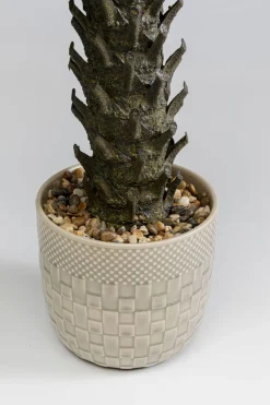 KARE Deko Pflanze Cycas 70cm