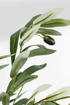 KARE Deko Pflanze Olive Tree 150cm