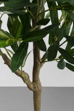 KARE Deko Pflanze Olive Tree 150cm