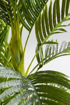 KARE Deko Pflanze Palm Tree 190cm