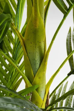 KARE Deko Pflanze Palm Tree 190cm