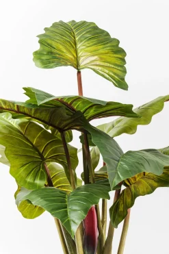 KARE Deko Pflanze Rainforest Green 160cm