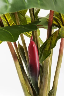 KARE Deko Pflanze Rainforest Green 160cm