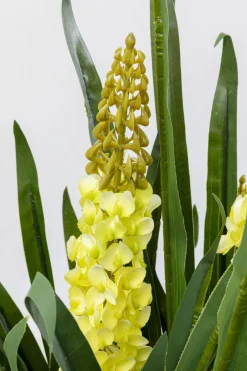 KARE Deko Pflanze Rhynchostylis 150cm