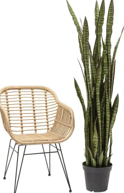 KARE Deko Pflanze Sansewieria 155cm