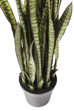 KARE Deko Pflanze Sansewieria 155cm