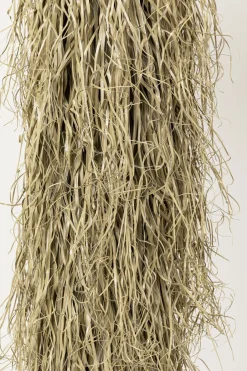 KARE Deko Pflanze Yucca Rostrata 240cm