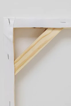 KARE Leinwandbild Headdress Dog 80x80cm