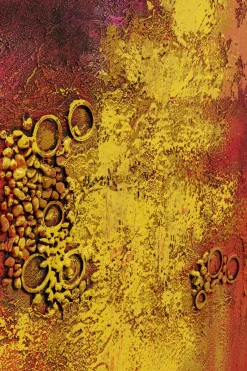 KARE Leinwandbild Jardin Rot 125x215cm