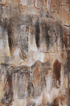 KARE Leinwandbild Shadows Braun 90x120cm