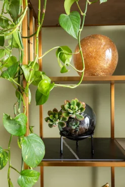 KARE Regal Cesaro 90x170cm