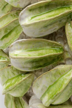 KARE Vase Carambola 37