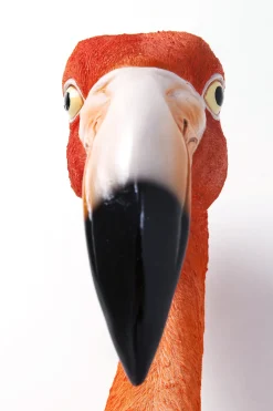 KARE Wandschmuck Flamingo Road 72cm
