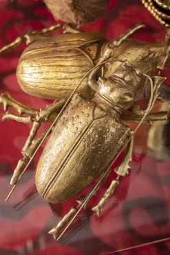 KARE Wandschmuck Longicorn Beetle Gold